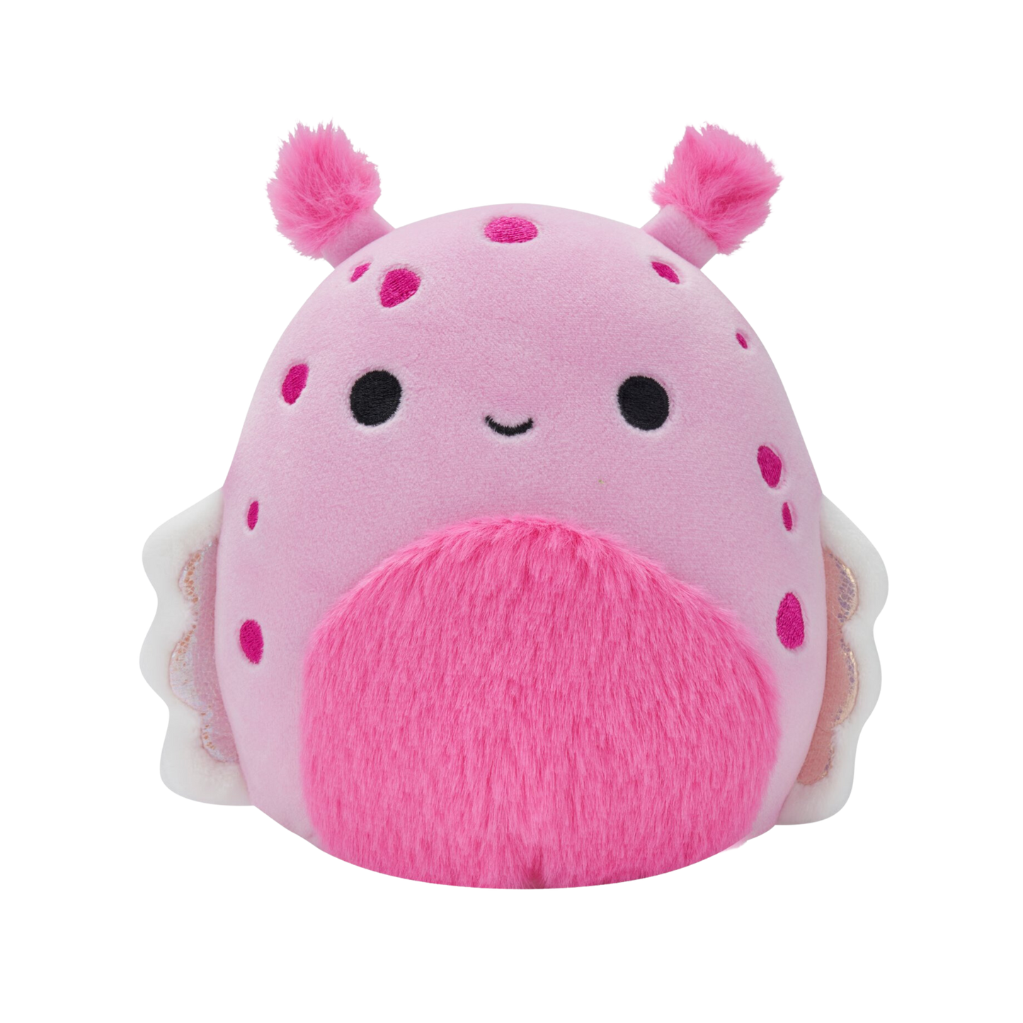 2023 8" Shabnam the Sea Slug