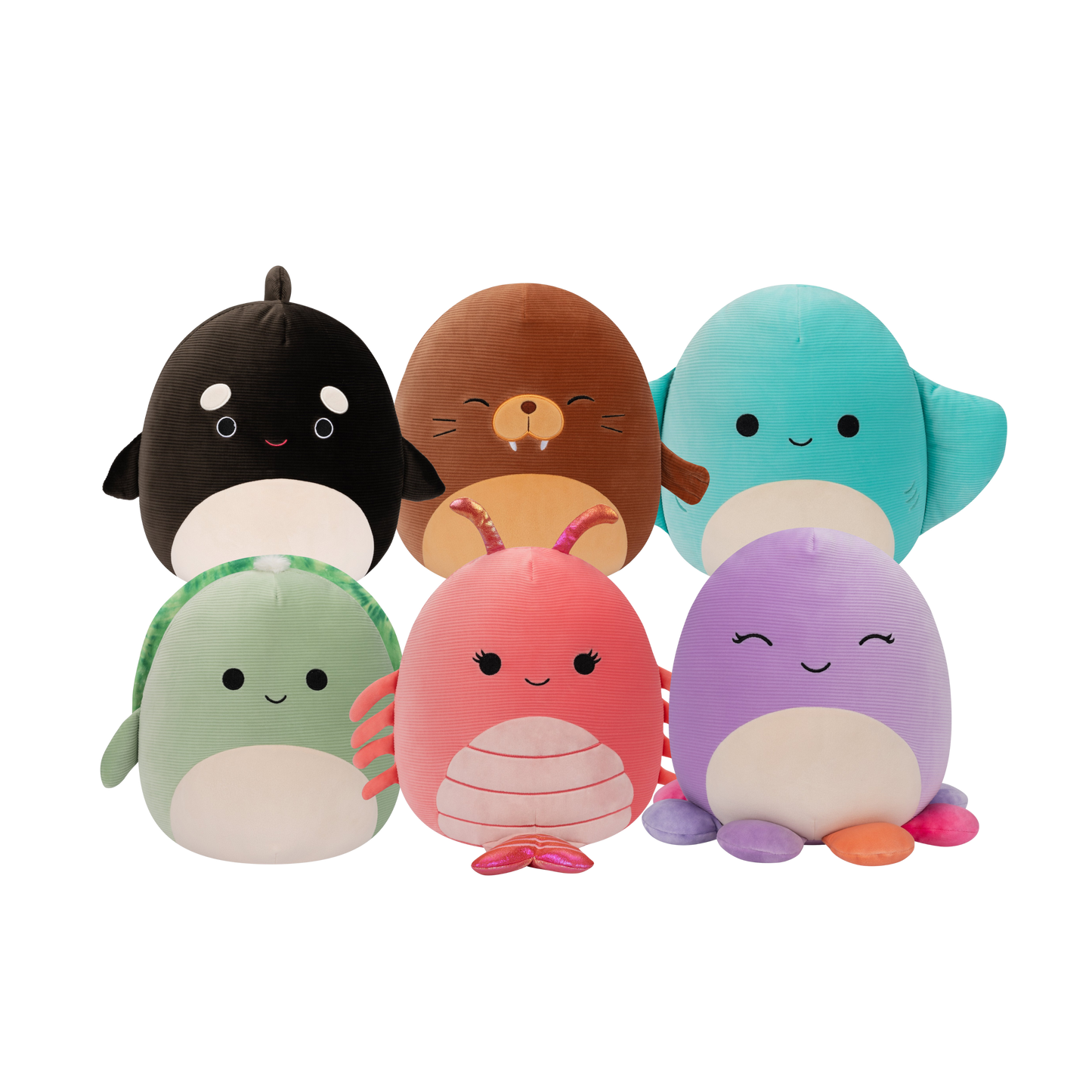 2023 Corduroy Sealife Clips Set