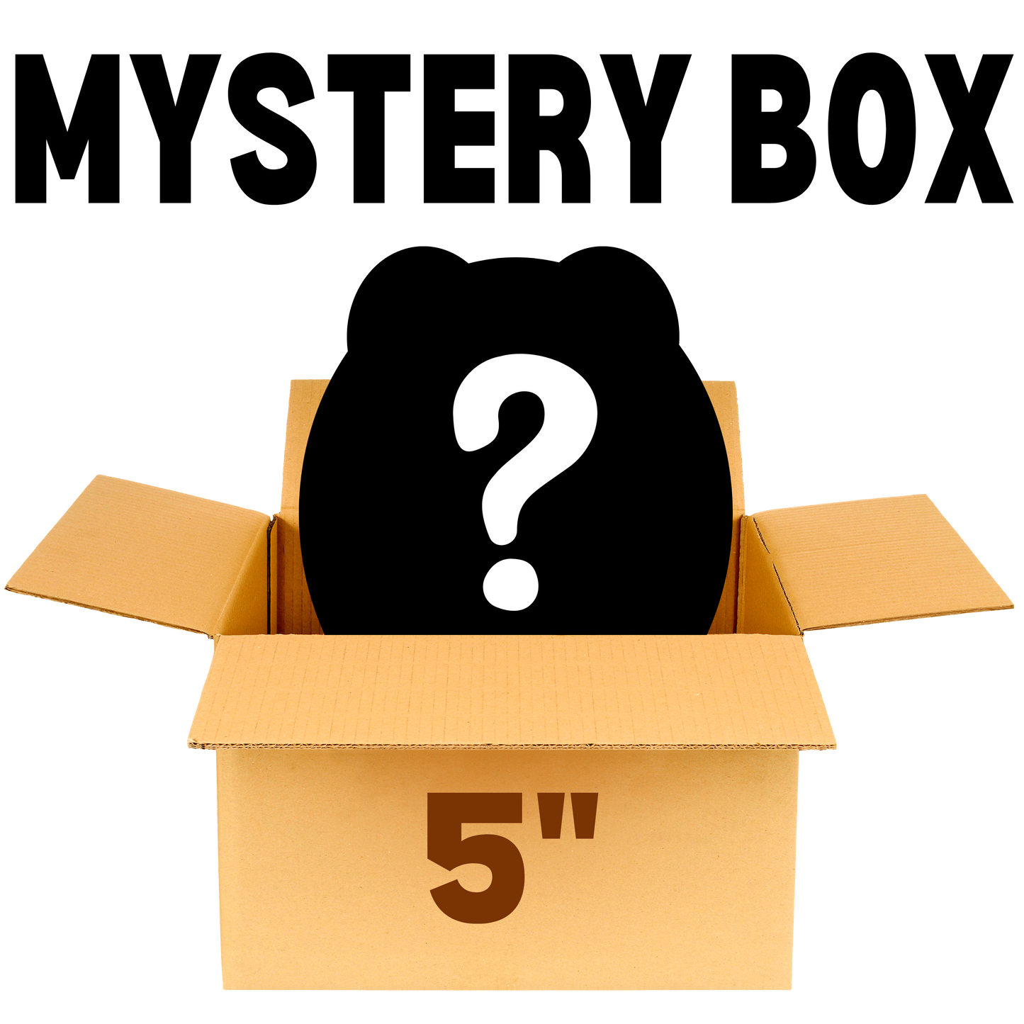 5" Mystery Box (6 pc.)